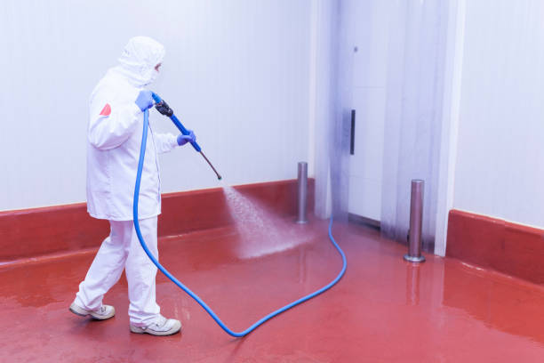 Paint Preparation in Leadville North, CO