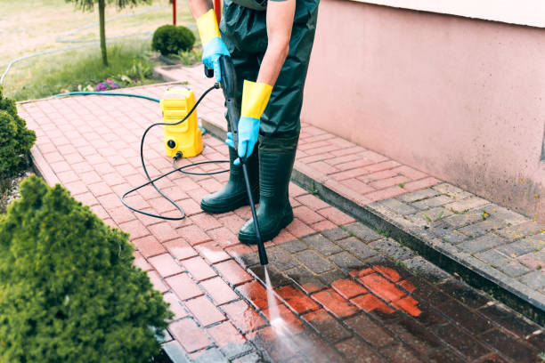 Best Residential Exterior Washing  in Leadville North, CO