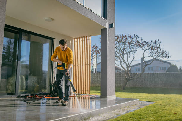 Best Roof Washing  in Leadville North, CO